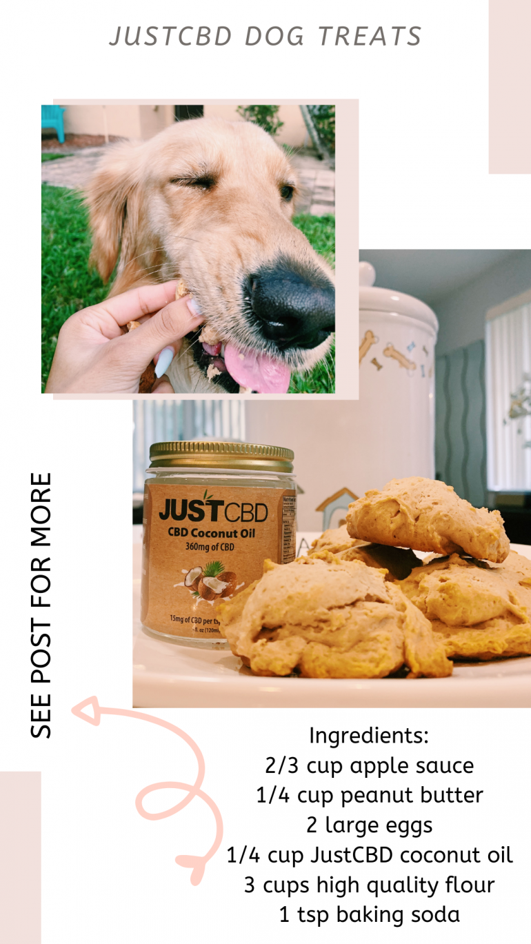 JustCBD CBD oil for dogs