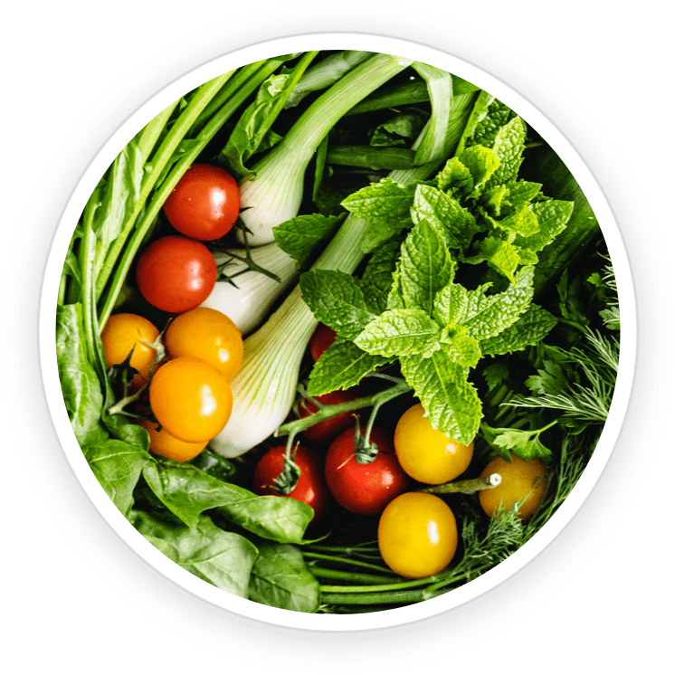 Chlorophyllin ingredient displayed for DentiCore