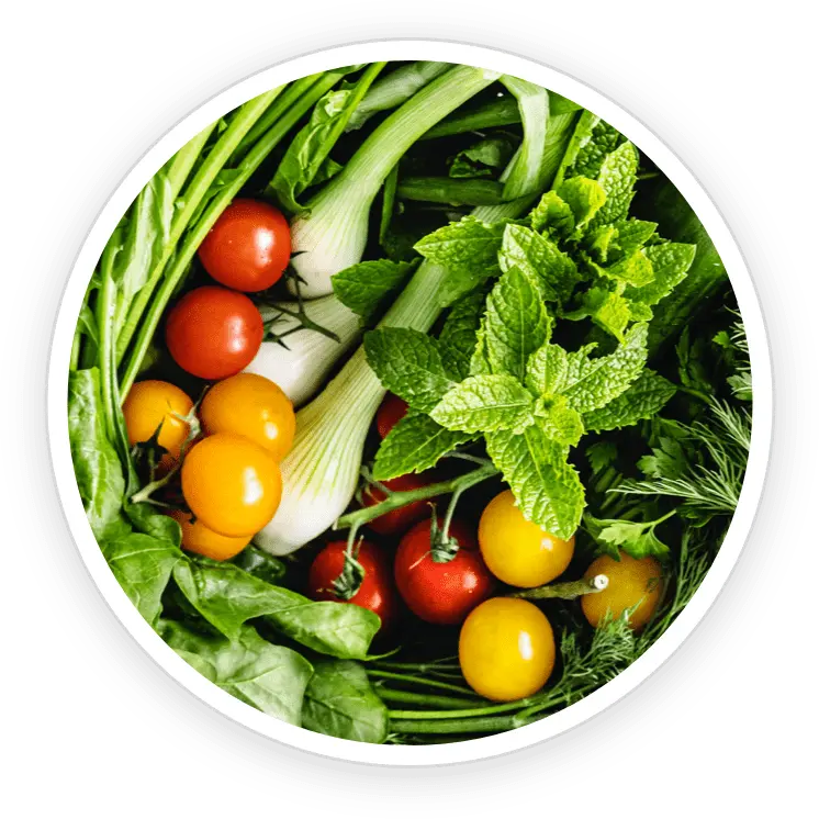 Chlorophyllin, one of the ingredients listed for DentiCore
