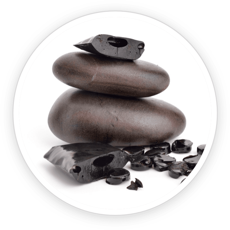 Shilajit extract ingredient displayed for DentiCore