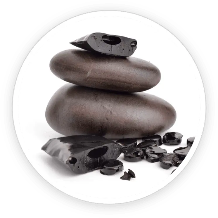 Shilajith Extract, one of the ingredients listed for DentiCore