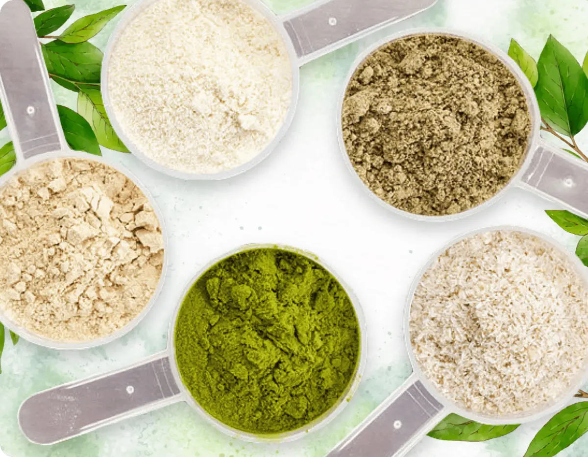 ProDentim proprietary plant and mineral ingredient blend