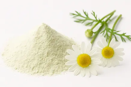Apigenin ingredient visual with chamomile flowers