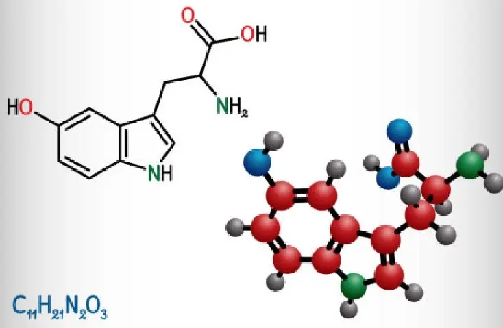 5-HTP molecular structure illustration